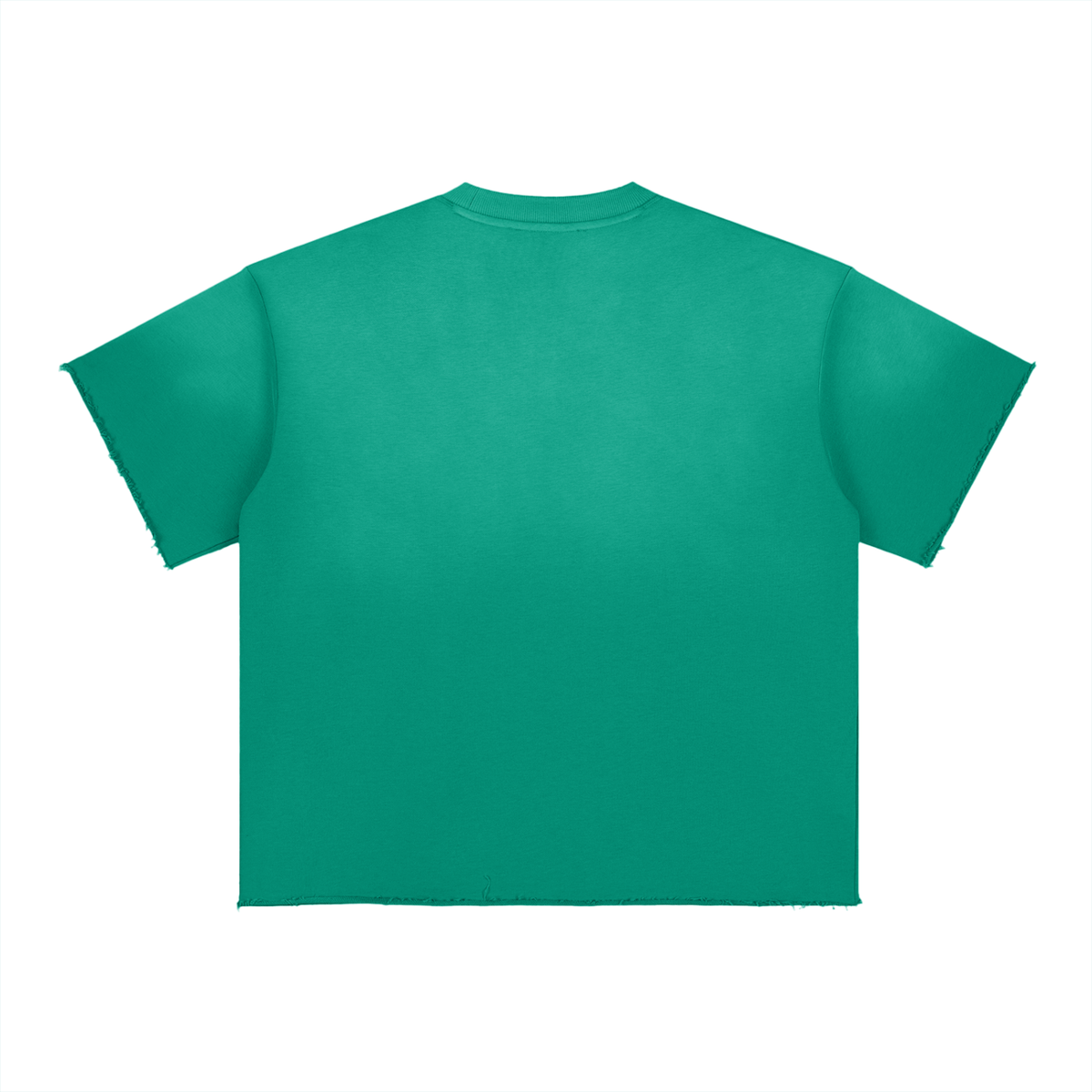 SGS Sun Fade Raw Edge Tee — product view 4