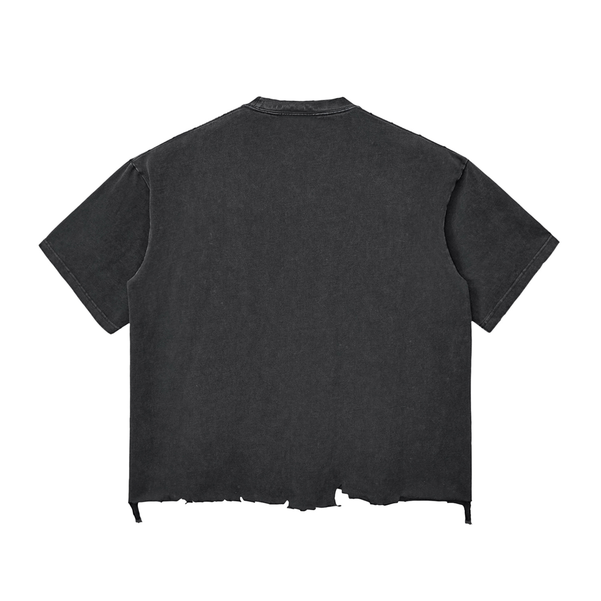 SGS Snow Wash Raw Hem Tee — product view 2
