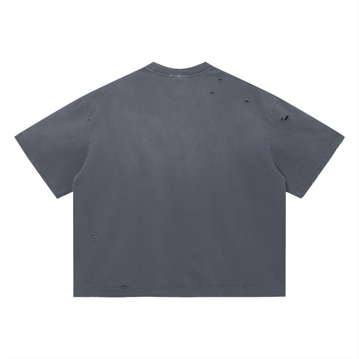 SGS Vintage Distressed Boxy Tee — product view 6