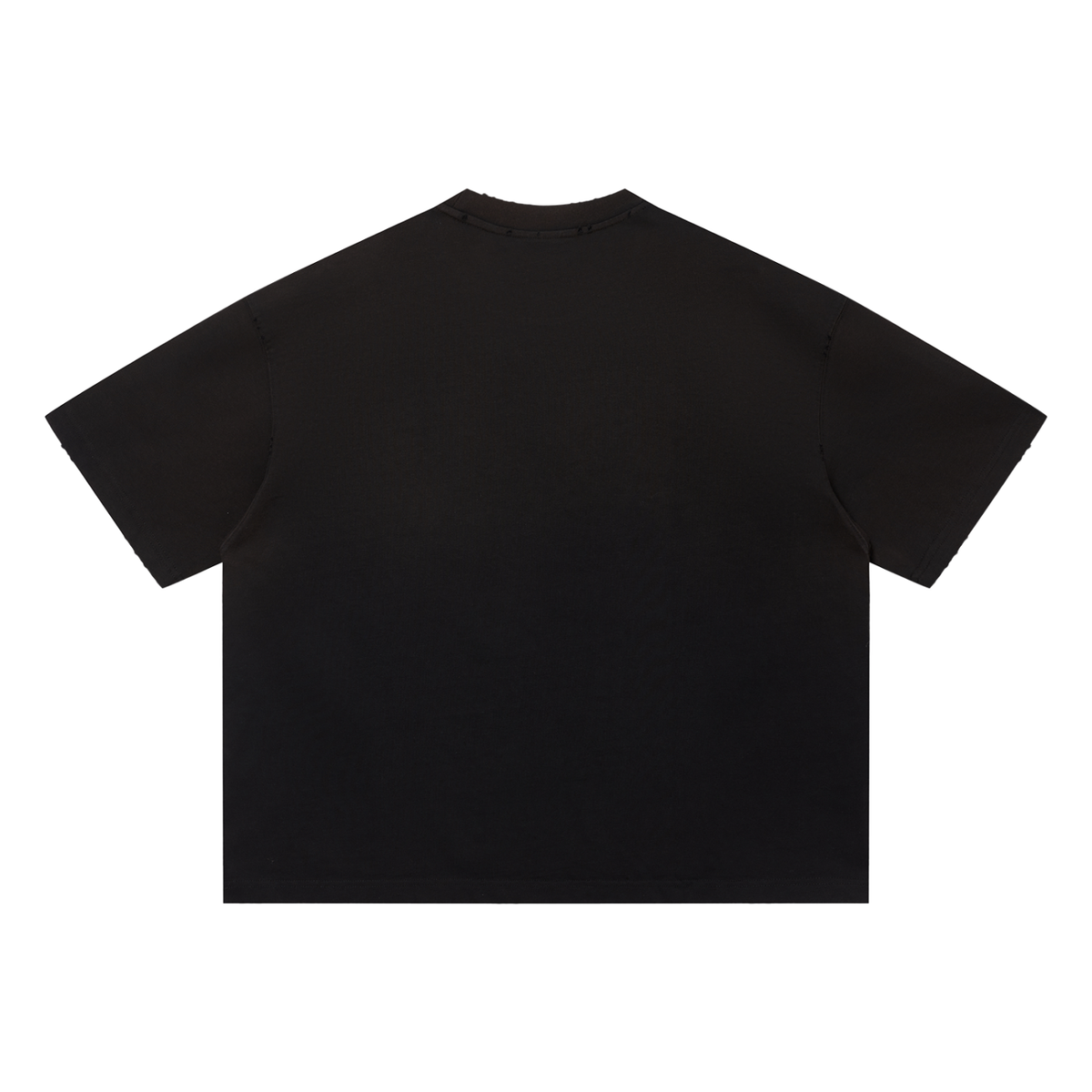 SGS Sun Fade Distressed Boxy Tee — product view 2