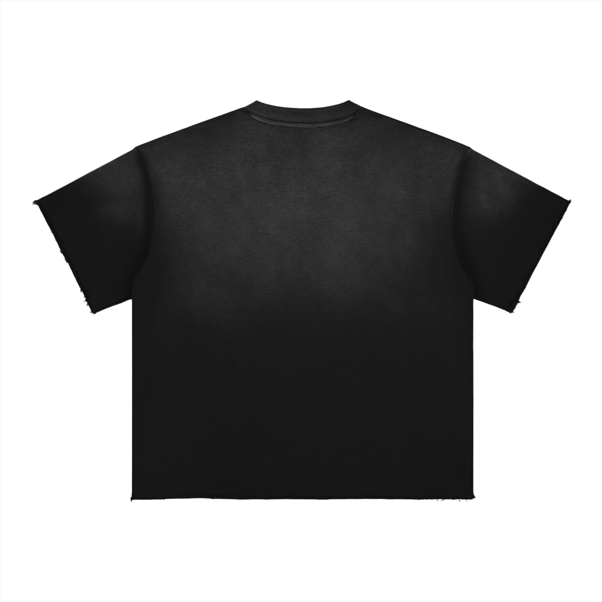 SGS Sun Fade Raw Edge Tee — product view 2