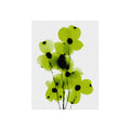 In Bloom No. 1 Matte Wall Art