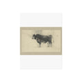 Born Out West Matte Wall Art