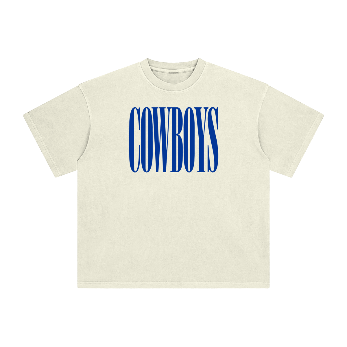 True Blue Enzyme Washed T-Shirt
