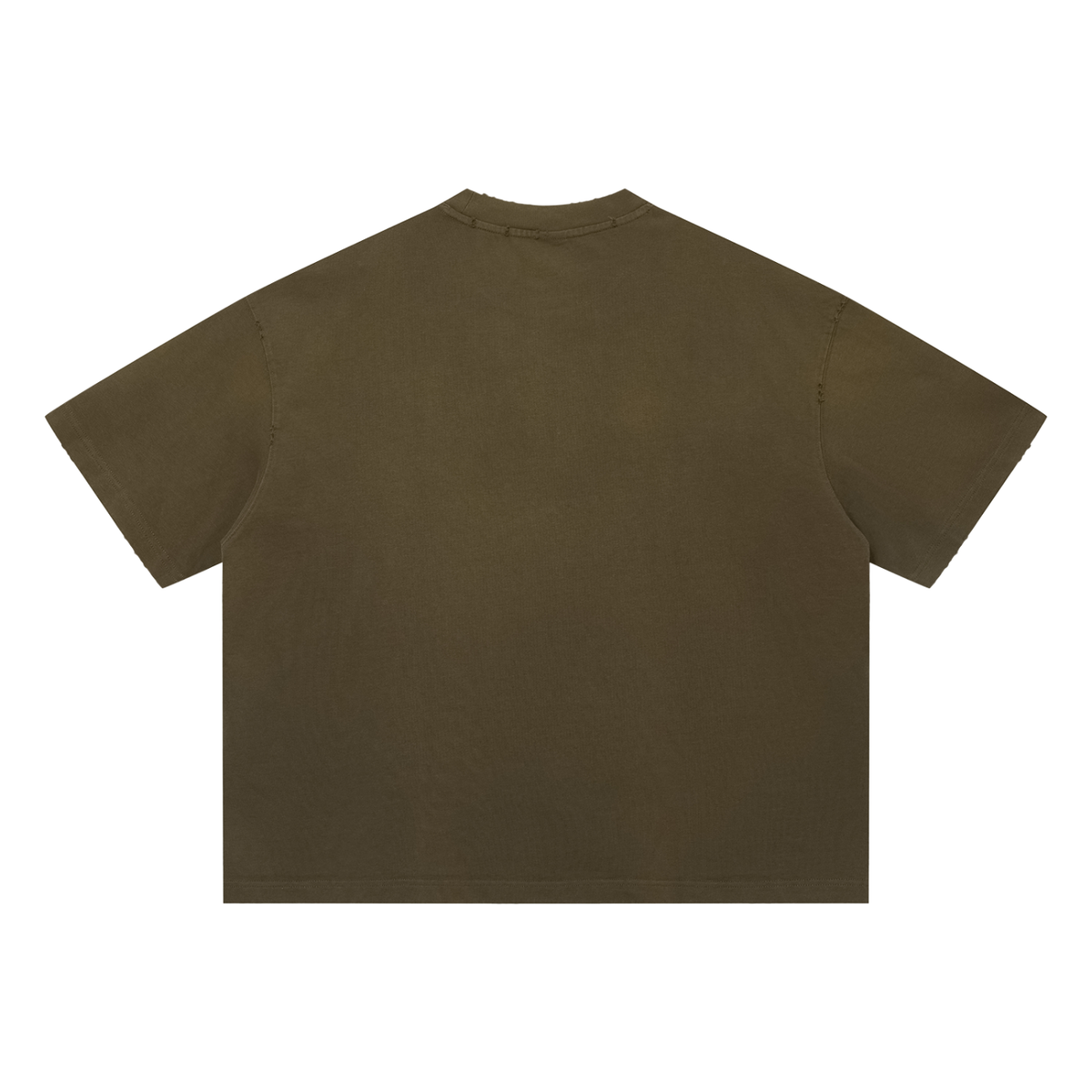 SGS Sun Fade Distressed Boxy Tee — product view 4
