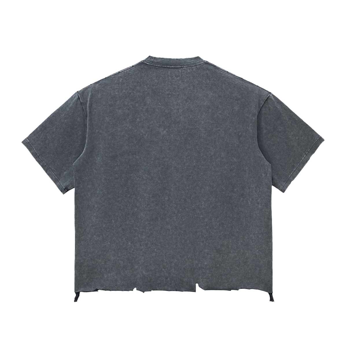 SGS Snow Wash Raw Hem Tee — product view 6