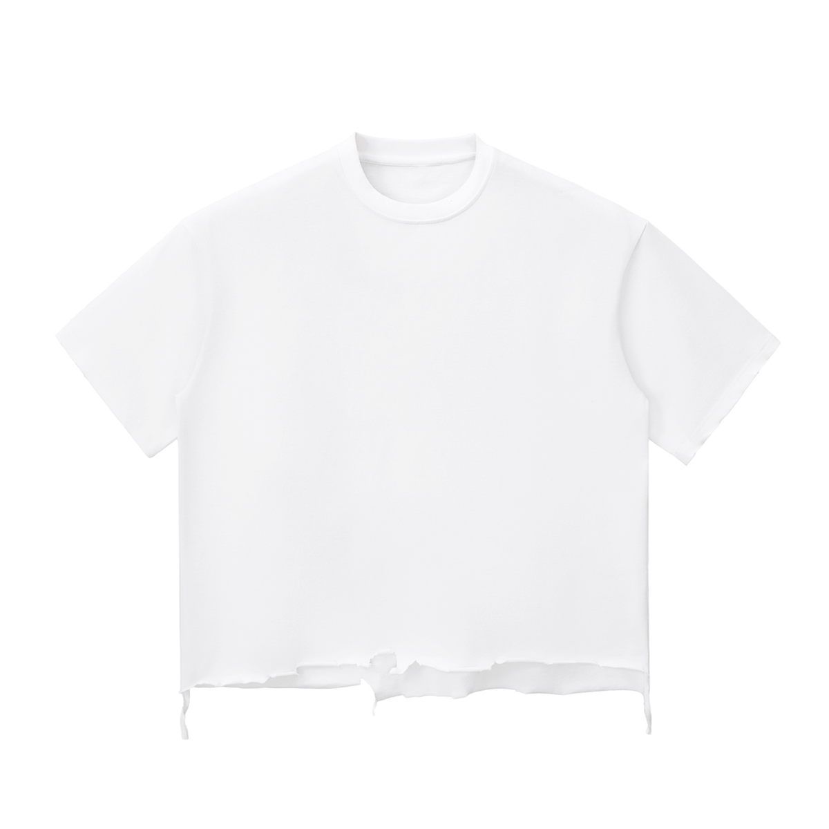 SGS Snow Wash Raw Hem Tee — product view 3