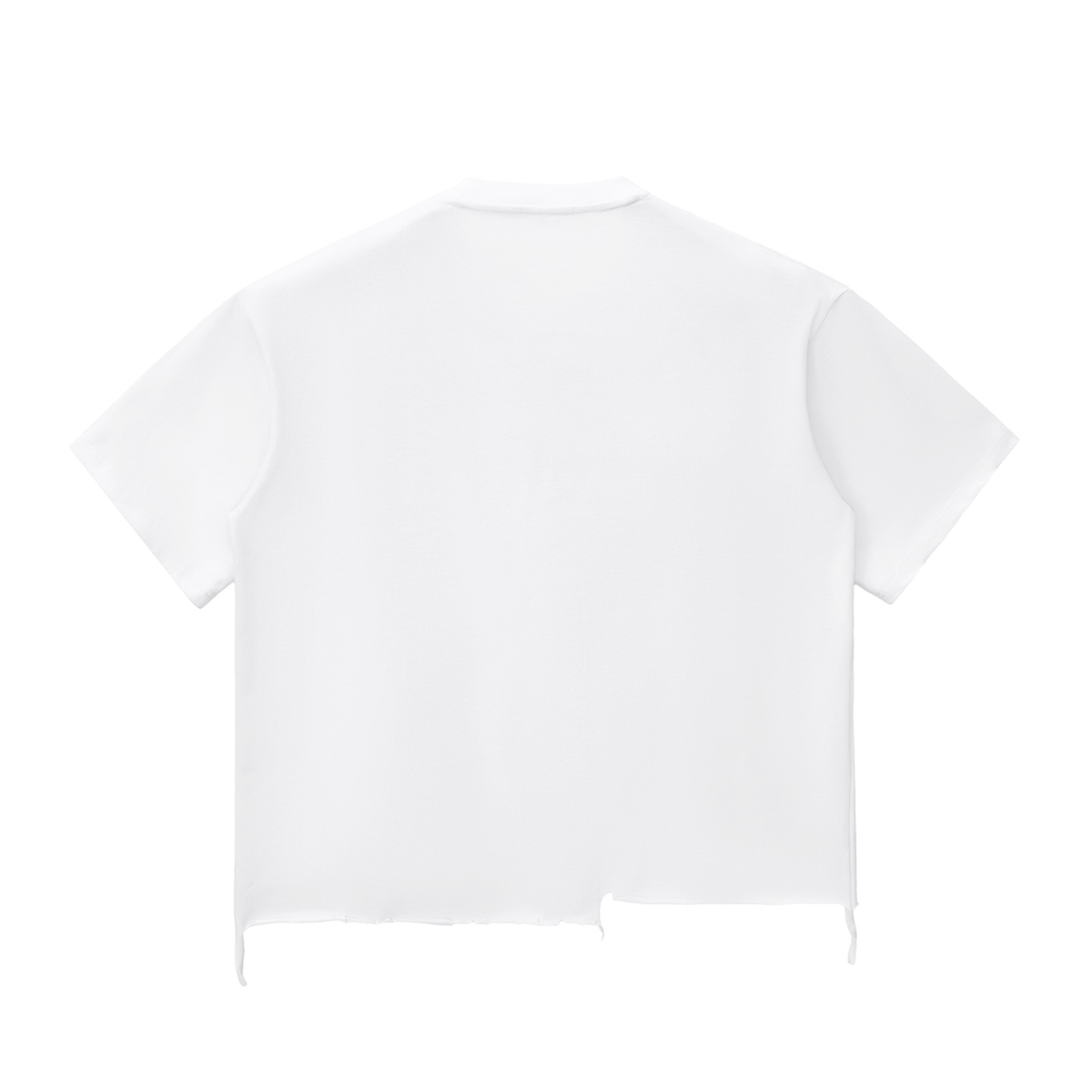 SGS Snow Wash Raw Hem Tee — product view 4