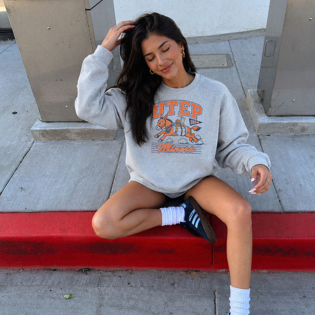 Nugget the Burro Oversized Crewneck
